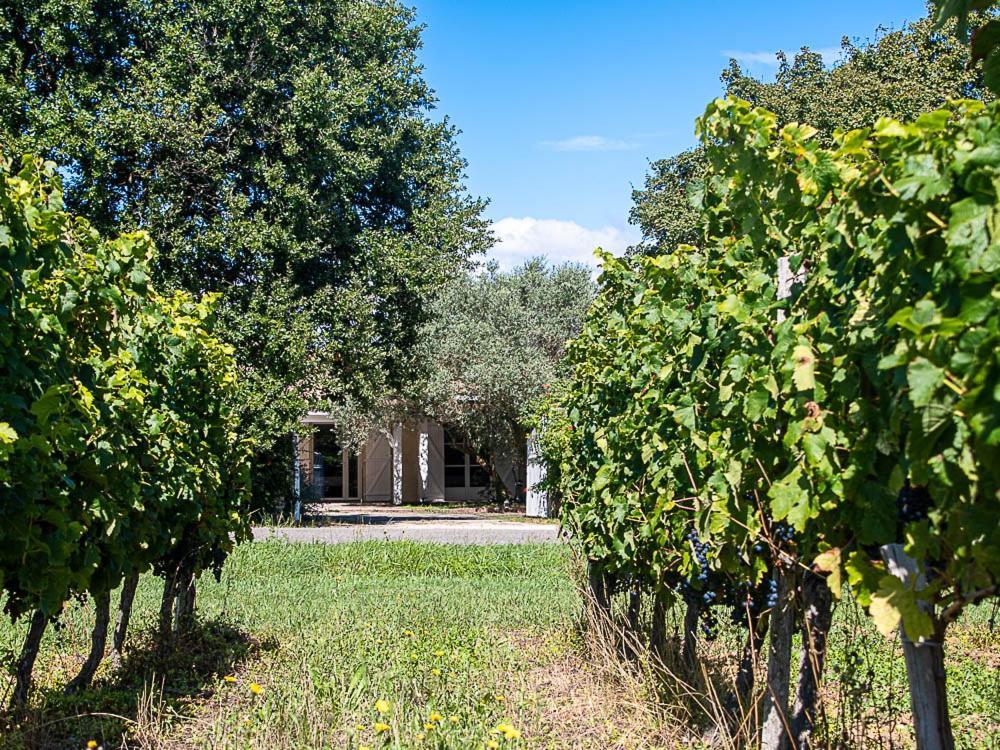 Au Detour Des Vignes