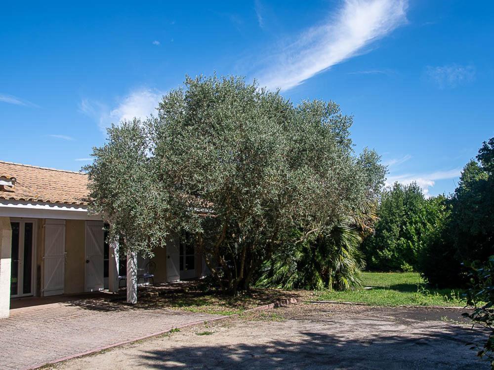 Au Detour Des Vignes Bed & Breakfast Ordonnac